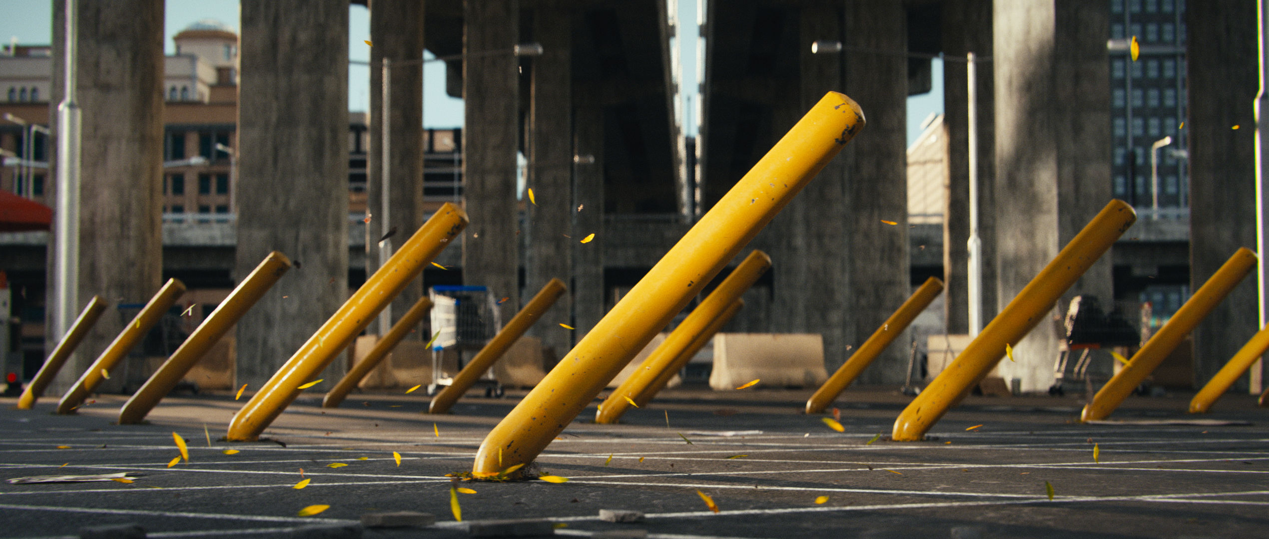 MASTER_POLEJAM_v002 (00033)