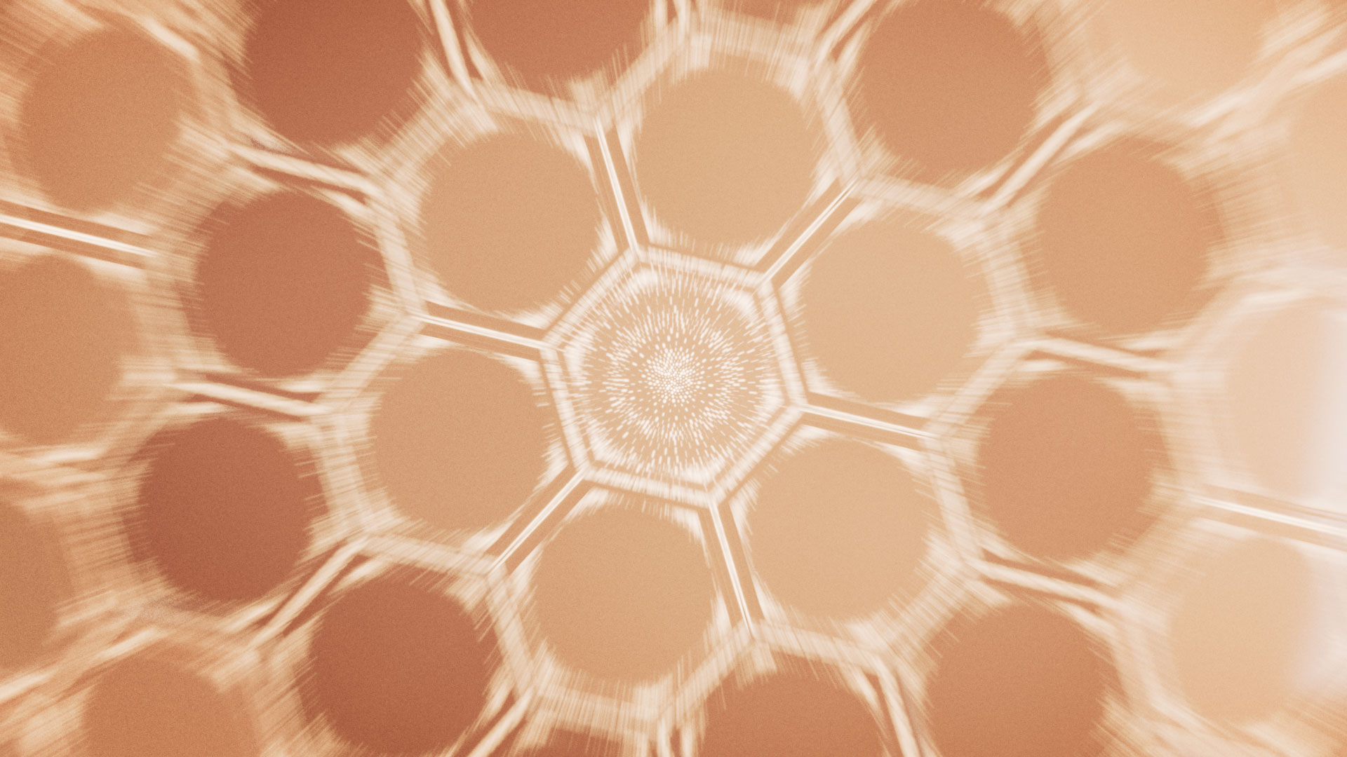 BUILD_EL_HEX_ZOOM_v002-(00001)