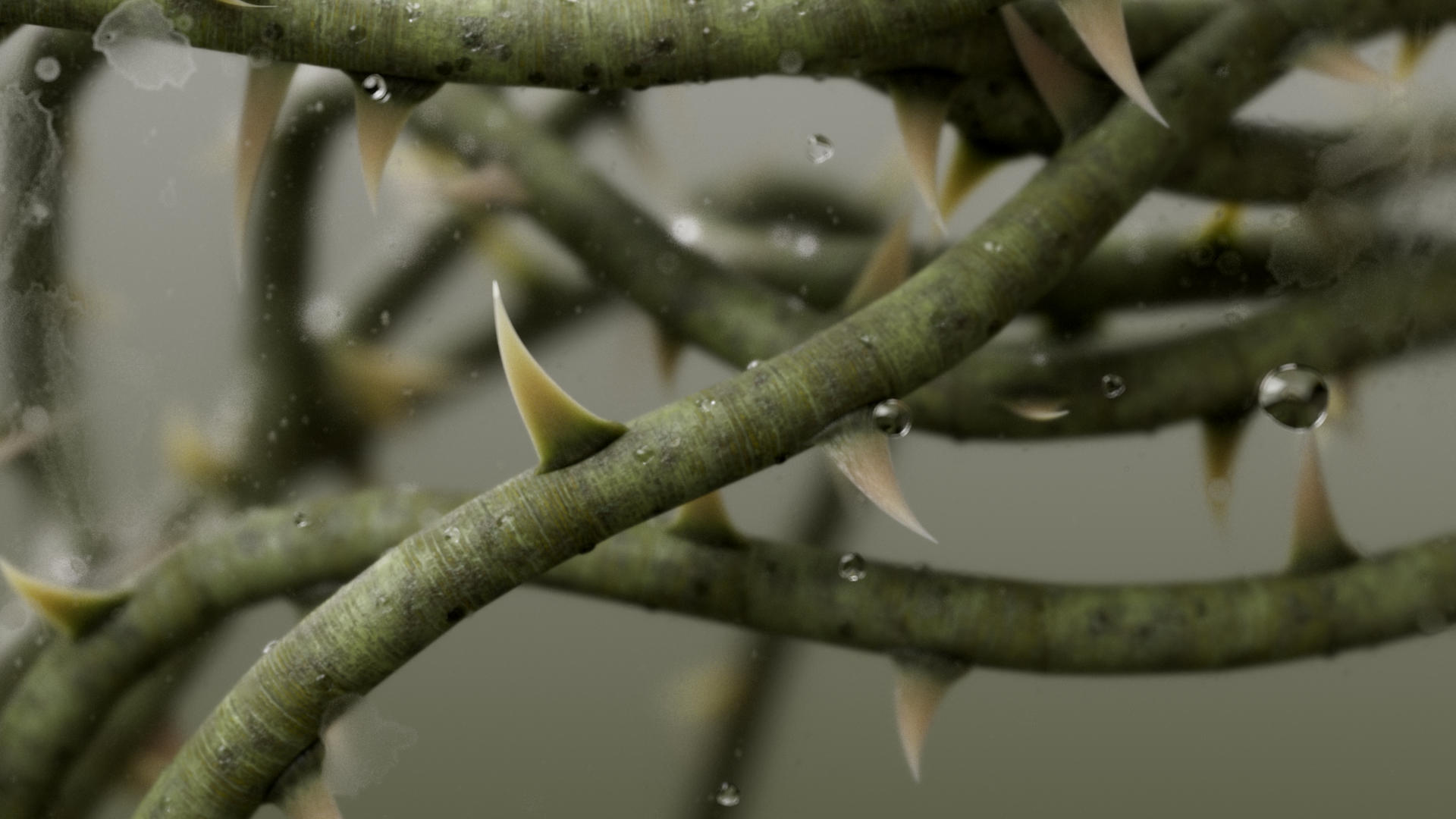 esteeDesignDev_protection_thorn_main_v002.1001