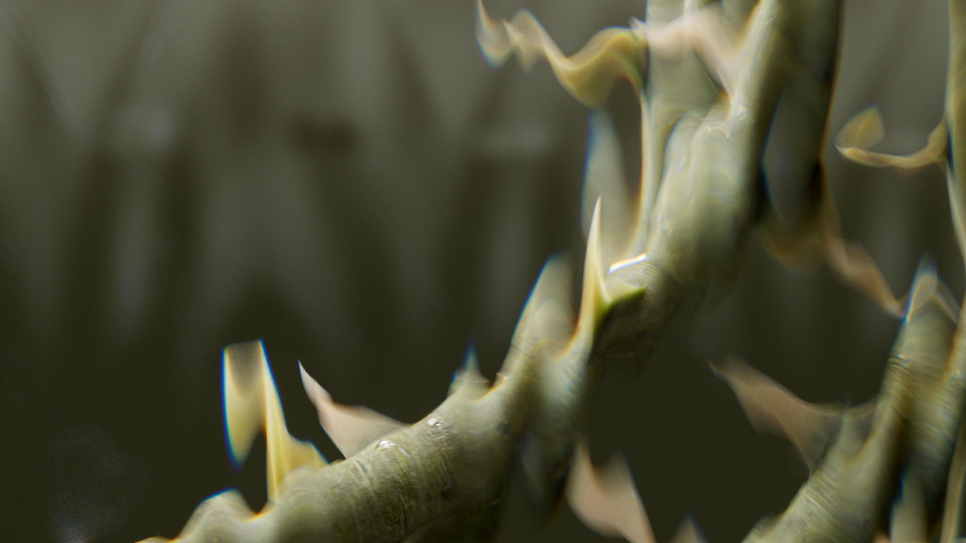 esteeDesignDev_protection_thorn_main_v003.1001