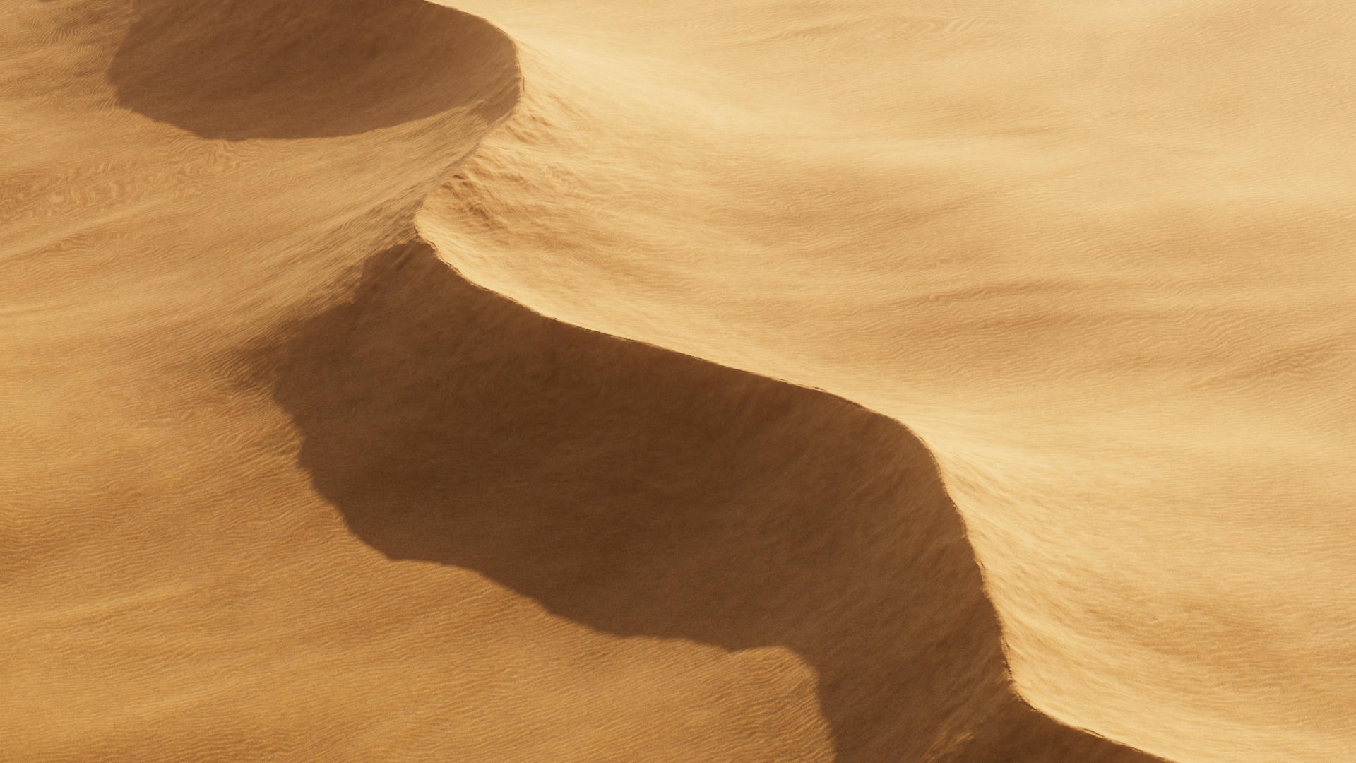 esteeDesignDev_wear_dune_main_v002.1001