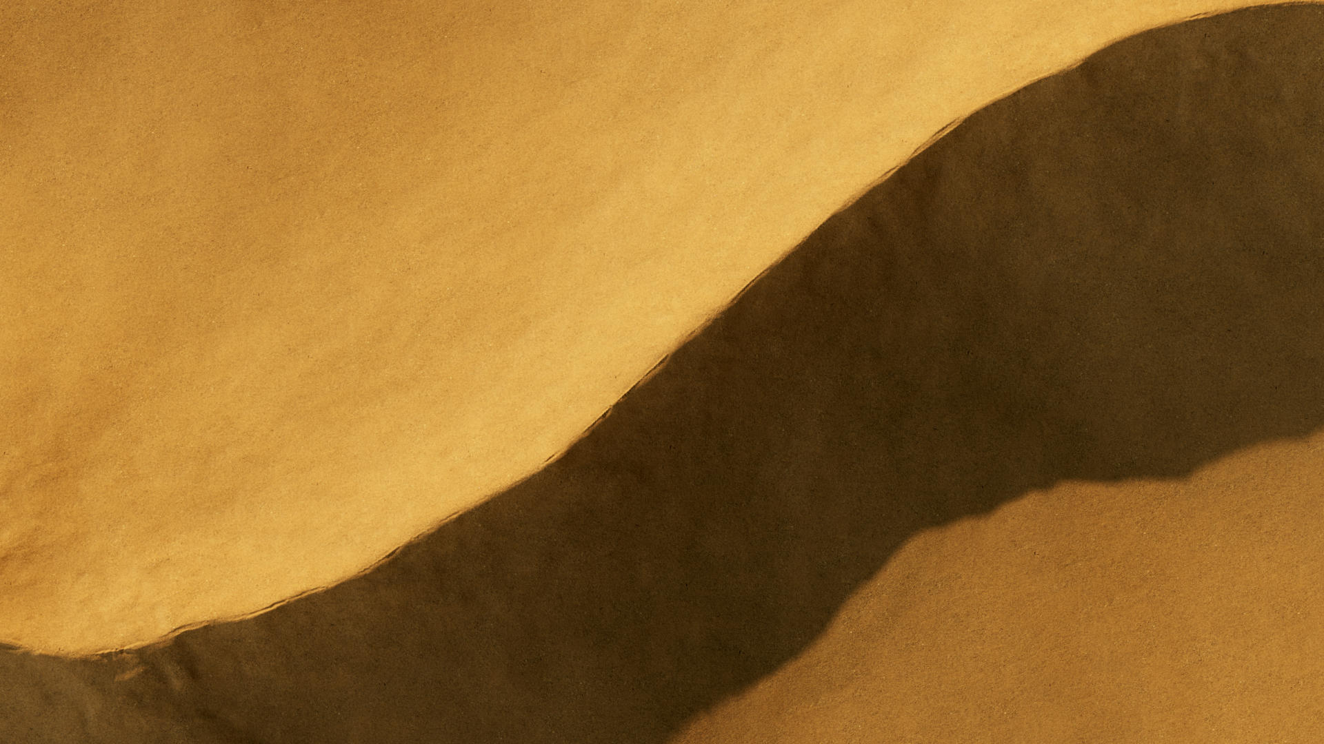 esteeDesignDev_wear_dune_main_v003.1001