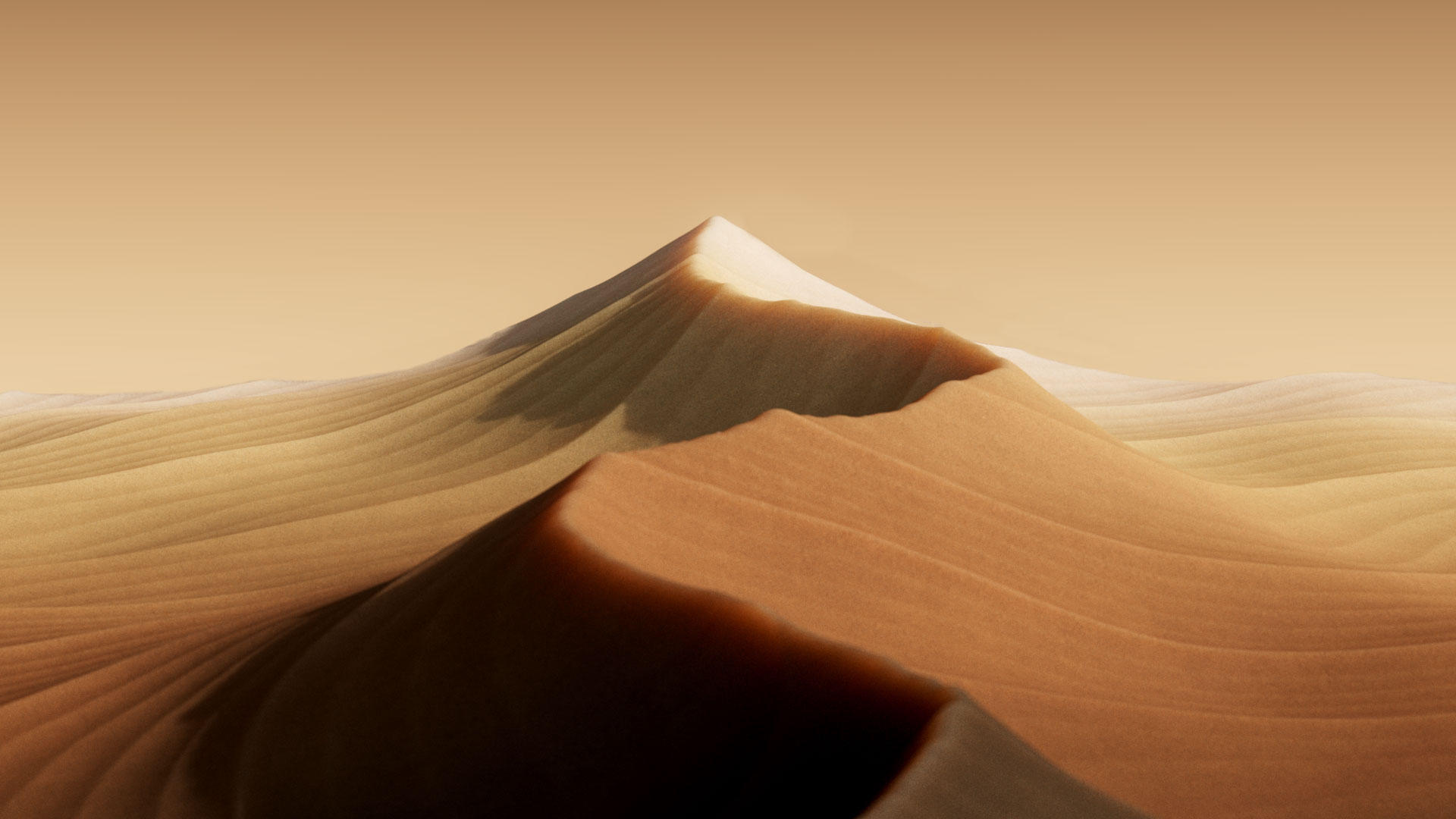 esteeDesignDev_wear_dune_main_v007.1001