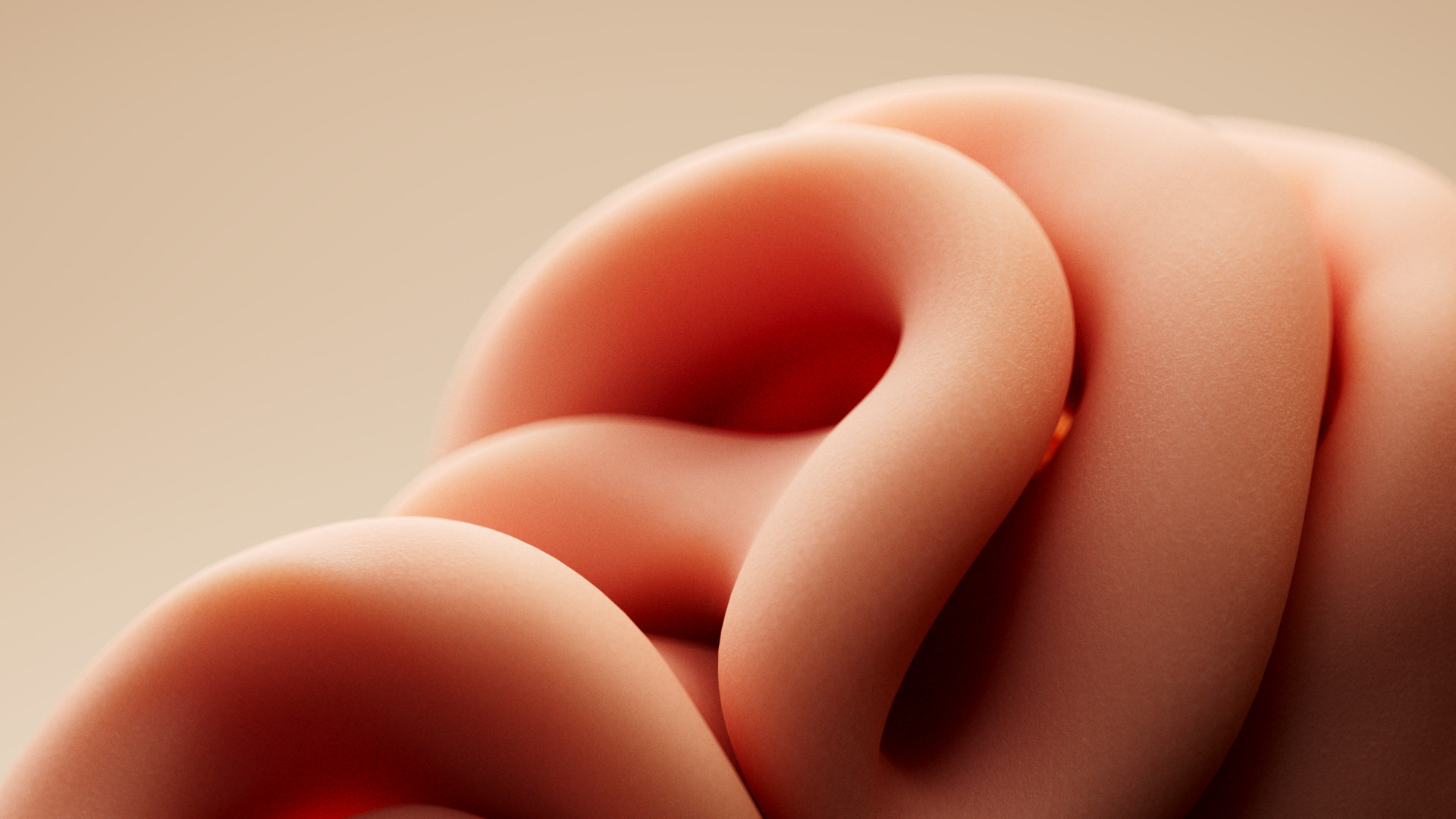 esteeDesignDev_SIP_single_mesh_v001